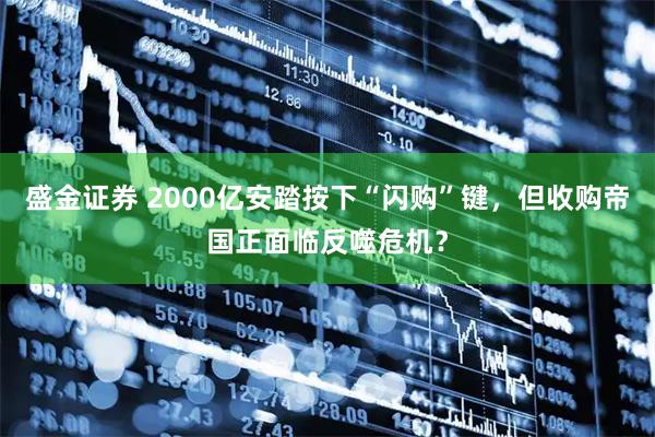 盛金证券 2000亿安踏按下“闪购”键，但收购帝国正面临反噬危机？