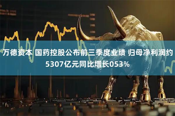 万德资本 国药控股公布前三季度业绩 归母净利润约5307亿元同比增长053%